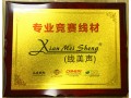 專業(yè)競(jìng)賽線材-線美聲品牌 (4播放)
